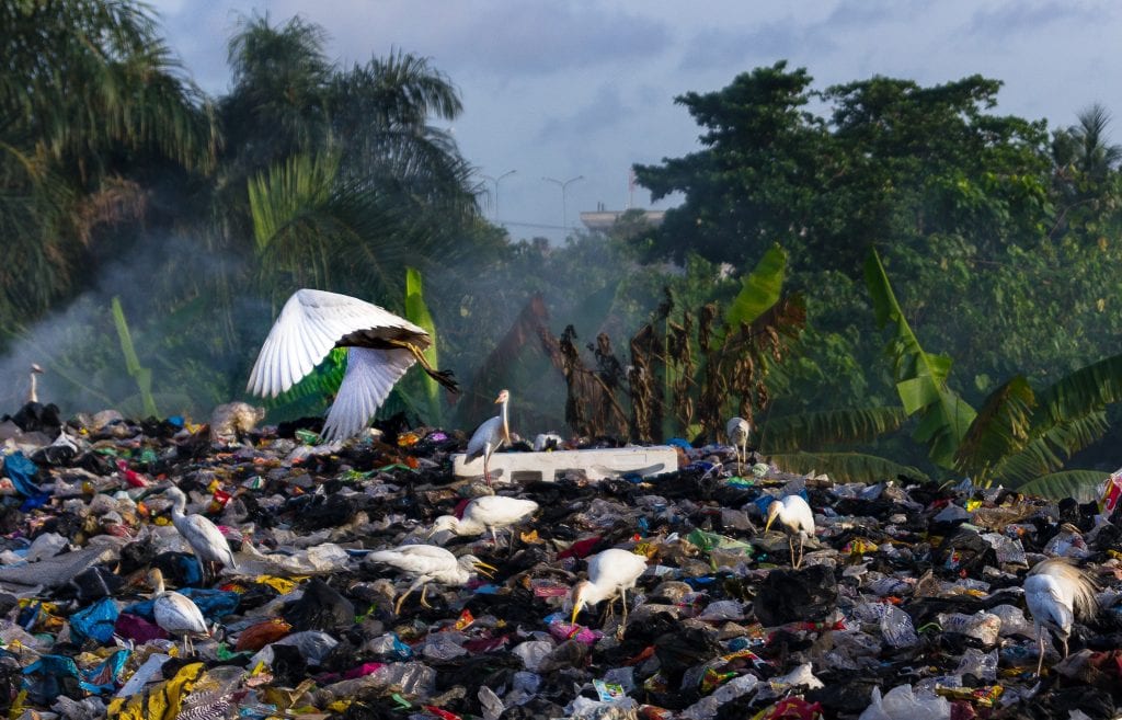 landfill single-use plastics